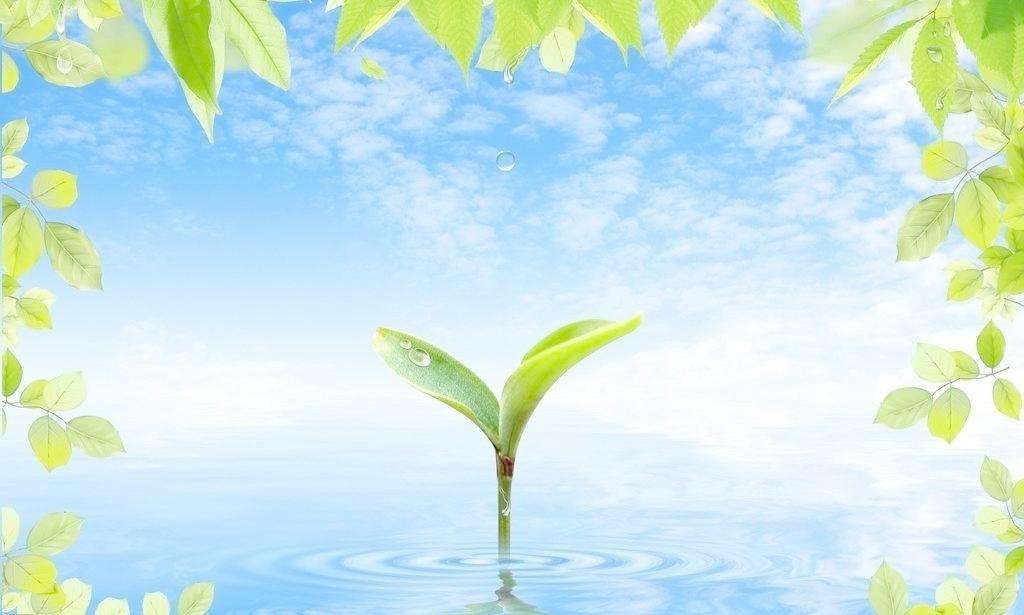 陈海滨：垃圾分类企业的定位与任务探究
